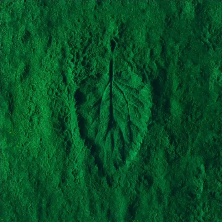 Green leaf