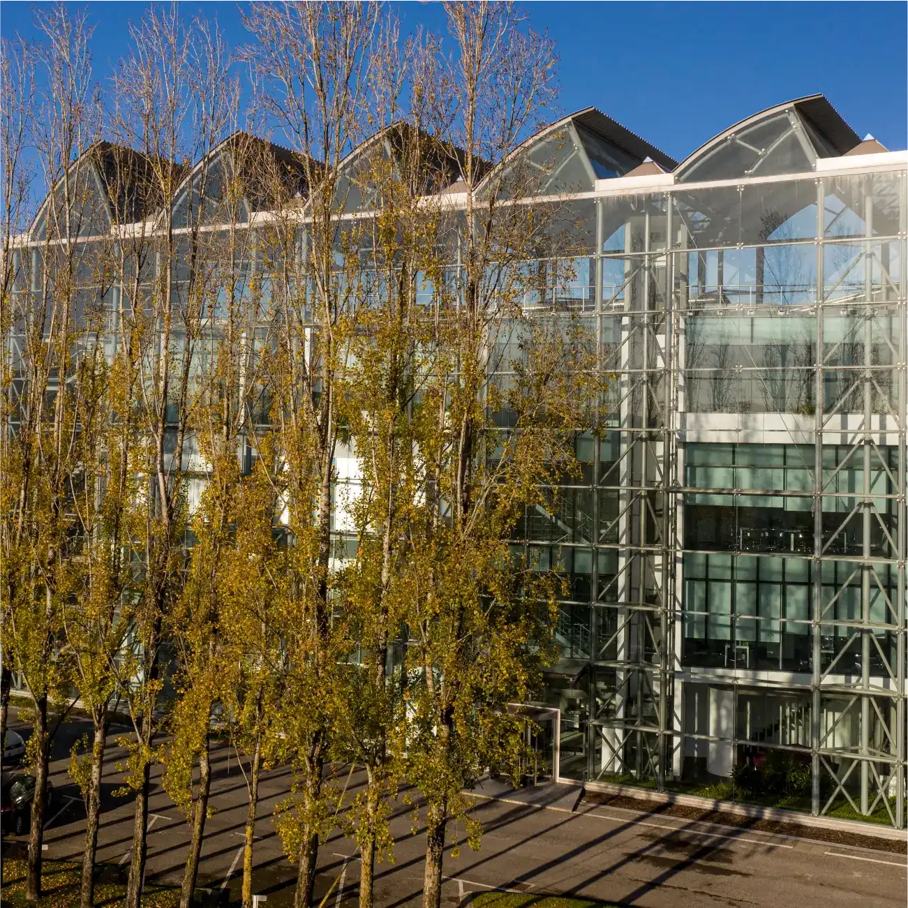 Outside building surrounded by trees